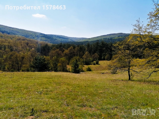Продавам 120 декара-гори, снимка 8 - Земеделска земя - 52658500