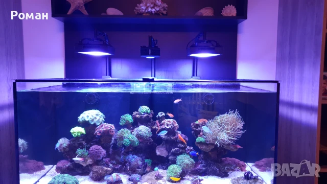 Аквариум Redsea Reefer 420 xl v1, снимка 3 - Аквариуми - 51072688