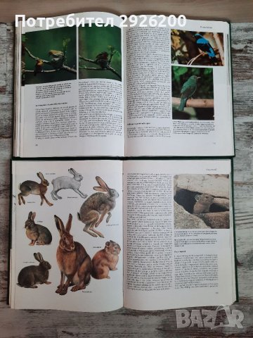 ЕНЦИКЛОПЕДИЯ ЗА ЖИВОТНИ 5БР., снимка 7 - Енциклопедии, справочници - 38065436
