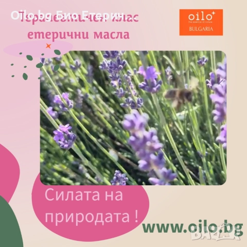 Есента е тук, а с нея и сезонът на вирусите 🍂. Време е за твоята ароматна аптечка с етерични масла