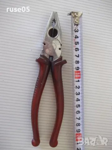 Клещи италиански