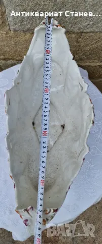 🇮🇹 🌹🌹 Божествено красива кашпа Bassano Италия  
, снимка 10 - Саксии и кашпи - 50381714