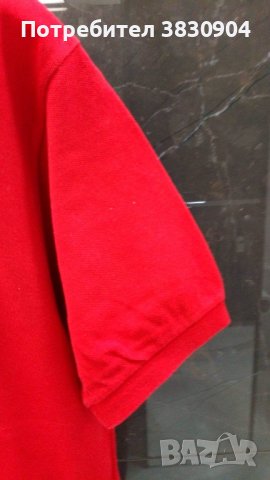 Поло шърт Lacoste, L, 100% памук, снимка 8 - Тениски - 42195621