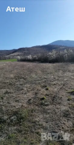 земя нива 10 дка в с. Новаково , снимка 6 - Земеделска земя - 49779988