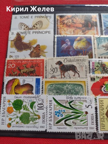 ПОЩЕНСКИ МАРКИ смесени ЖИВОТНИ,ЦВЕТЯ,ГЪБИ от цял свят за КОЛЕКЦИЯ 22600, снимка 2 - Филателия - 40316204