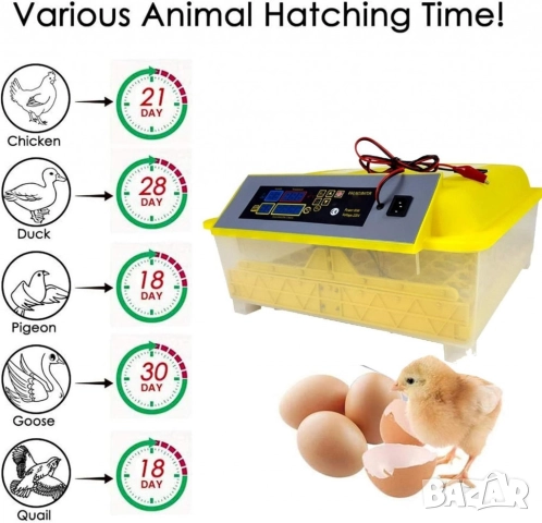 Напълно автоматичен инкубатор за 48 яйца 80W YZ8-48 за пилета, патици, гъски, пъдпъдъци, пуйки, друг, снимка 6 - Други стоки за дома - 52038540