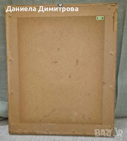 Три рамкирани принта с красиви птици, снимка 12 - Картини - 52466840