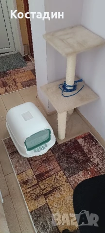 Драскалка и тоалетна за котки 