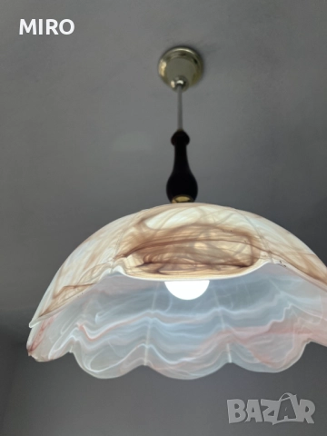 Полилей внос от Холандия, снимка 4 - Полилеи - 52500764