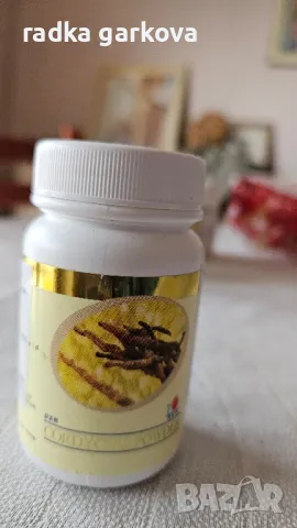 Кордицепс на прах