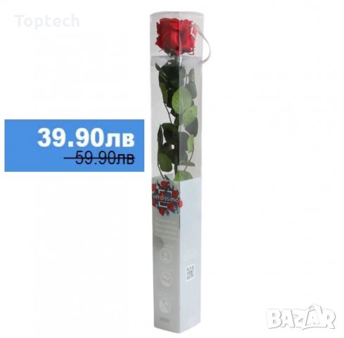 Луксозна вечна роза в опаковка BEAUTY & THE BEAST, снимка 1 - Романтични подаръци - 31691278