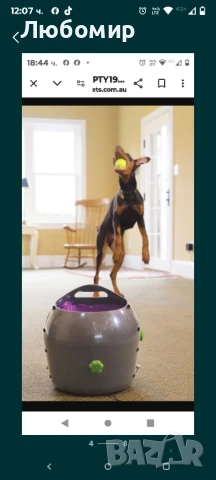 PetSafe автоматичен изстрелвач на топки за кучета 
