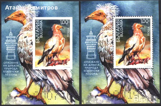 Чисти блокове Фауна Птица Египетски Лешояд 2024 от България