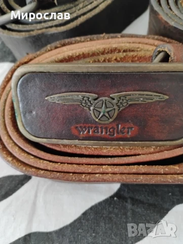 КОЛАНИ, снимка 4 - Колани - 50888682