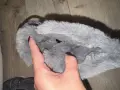 Нови Зимни апрески, снимка 6