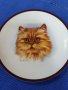 Колекционерски чинии за стена с котки , снимка 11