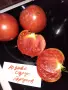 Семена домати и други зеленчуци, снимка 11