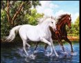 Диамантен гоблен, коне, снимка 1 - Гоблени - 37440228