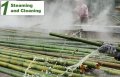 100 Семена от бамбук Moso-Bamboo рядко срещано растение за декорация на вашата градина бамбук мосо б, снимка 7