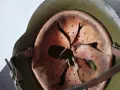Българска военна каска от войната . , снимка 9
