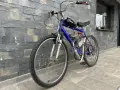 Веломотор 100сс 2Т, снимка 3