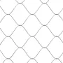 vidaXL Кучешка клетка с покрив и врата сив 2x2x2 м поцинкована стомана, снимка 7