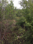 Продавам парцел, снимка 2
