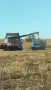 Ifa         w50 , снимка 7