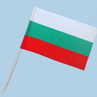 Българско знаме 30х46см, снимка 1 - Български сувенири - 31872935