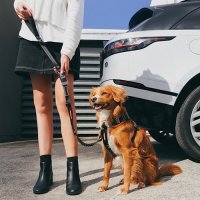 Нов автомобилен Предпазен Колан за кучета, водач и дръжка 2 в 1 , снимка 4 - За кучета - 42158326