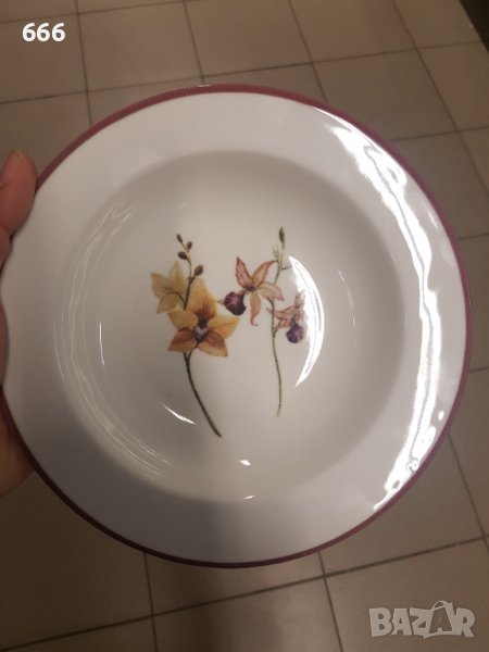 Чинии, снимка 1