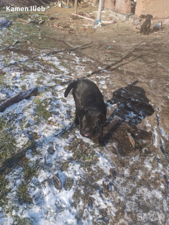 ПРОДАВА СЕ , снимка 1