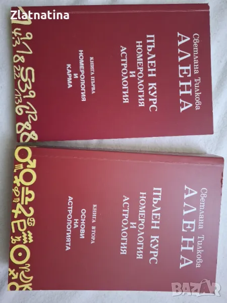 Две книги -Светлана Тилкова Алена, снимка 1