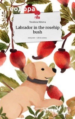 Labrador in the rosehip bush, снимка 1
