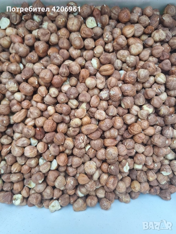 Продавам лешници на ядка 22лв., снимка 1