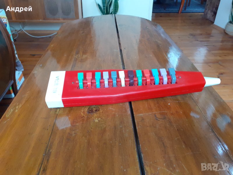 Стара Виолина,Violina, снимка 1