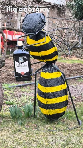 оса гигант, снимка 2 - Други - 49326625