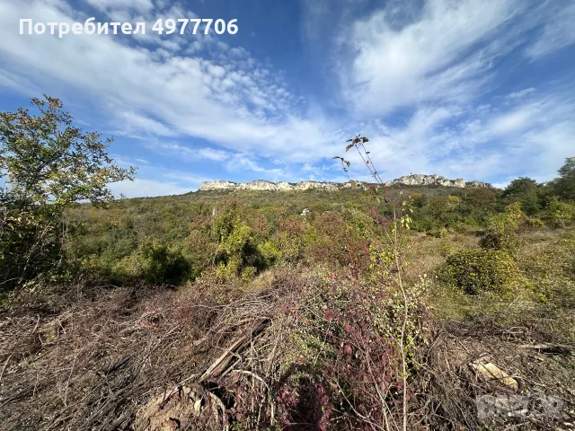 Къща ПАНОРАМА + 2 Парцела от СОБСТВЕНИК , снимка 5 - Къщи - 56481725