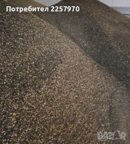 Слънчоглед и Жито - продавам - село Драгановци, снимка 3 - За селскостопански - 55429357