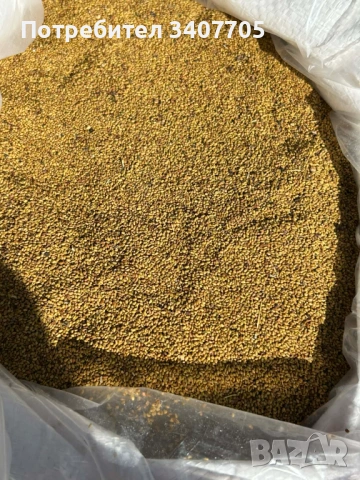 люцерново семе, снимка 2 - Други - 54093784