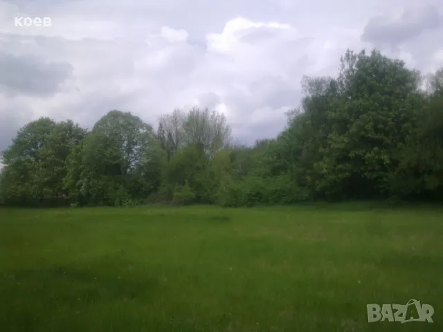 Продавам имот от 11 дка и сграда с РЗП 806 кв. м., в с. Метличина, снимка 12 - Къщи - 48153029