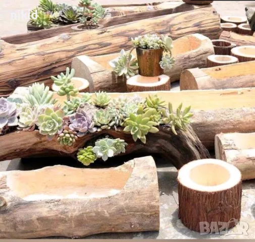 Цвете Цветя сукулент сукуленти кактус микс голям силиконов молд форма фондан шоколад декор украса, снимка 6 - Форми - 48264796