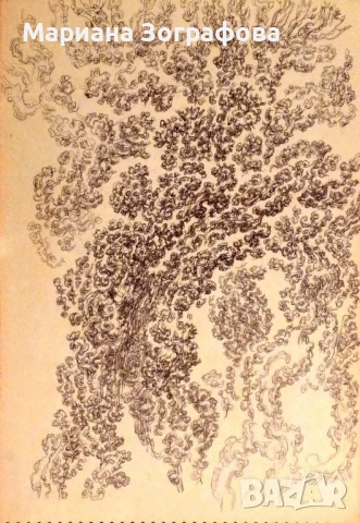 Картина-офорт, худ. Т. Манолов 1988 г., - Графики - худ. М. Зографова, - и Голяма дървена рамка, снимка 11 - Антикварни и старинни предмети - 49137840