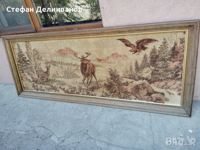 пано , снимка 3 - Пана - 51226103