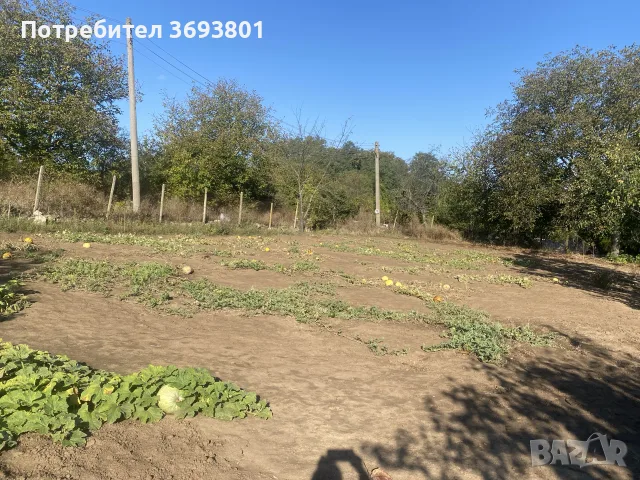 дворно място без постройка, снимка 2 - Парцели - 56120198