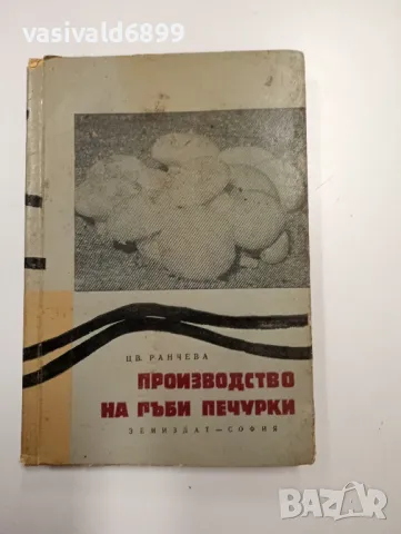 Цветана Ранчева - Производство на гъби печурки 