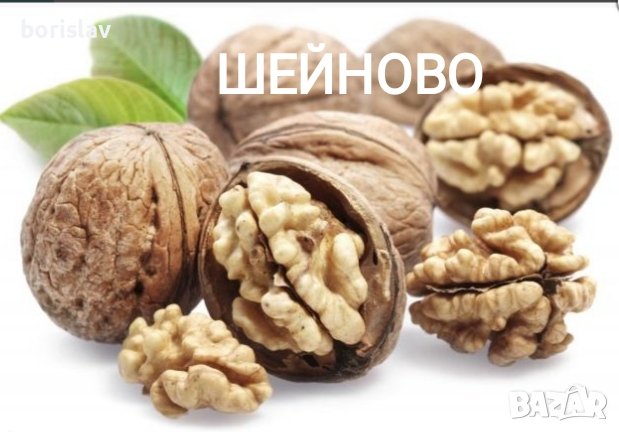 Орехи сортове Чандлър, Шейново и Извор 10, снимка 5 - Разсади - 42417976