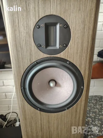 тонколони slaudio. tl. , снимка 4 - Тонколони - 55969295
