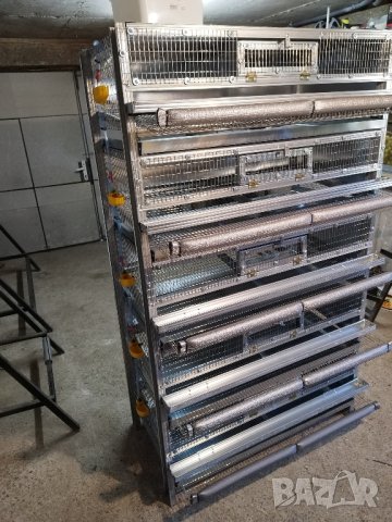 Клетки за пъдпъдъци , снимка 12 - За птици - 25557401