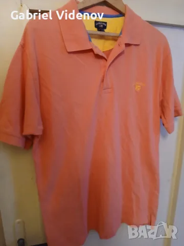 Мъжка тениска Polo ASSN.